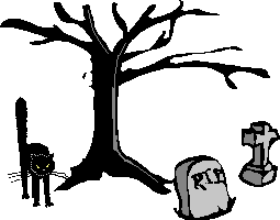 Black Cat In A Cemetary