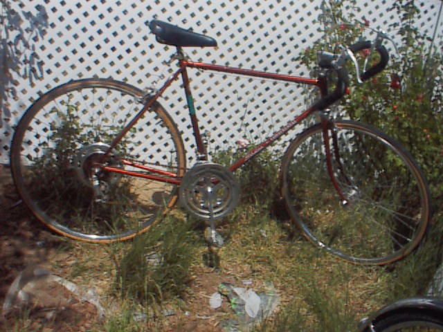 1973 schwinn continental