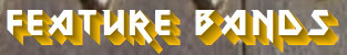 feature bands