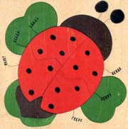 ladybug