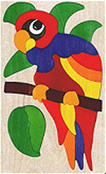 parrot