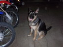 Kara chillen in garage in front on motorcycles