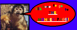  Kik ass page dedicated to piktures of monkeys