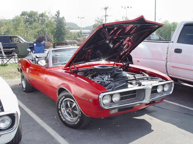 Mustang eater.....