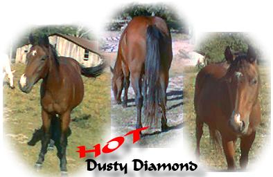 DIamond as a two year old