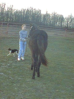 Zorro from the rear with Emily