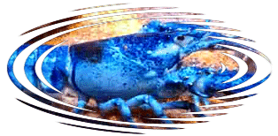 Slimyfrogz ~ special thankx to Snow Globe, Amy's Electric Blue Lobster