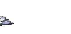 Animated Dove