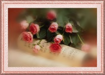 Peach Roses