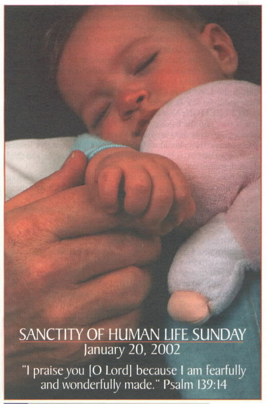 Right to Life Graphic