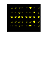 Text Box:  