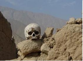skull on rock