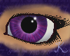 Amethyst Eyes F