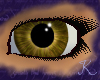 Citrine Eye F