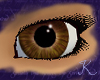 Earth Jasper Eyes F