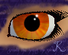 Fire Opal Eyes F