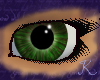 Forrest Jade Eyes F