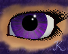Tanzanite Eyes F