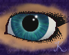 Teal Zircon Eyes F