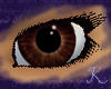 Tigers Eye Eyes F