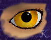 Amber Eyes M