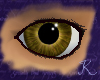 Citrine Eye M