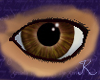 Earth Jasper Eyes M