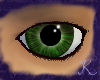 Forest Jade Eyes M