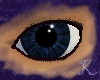 Obsidian Eyes M