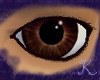 Tigers Eye Eyes M