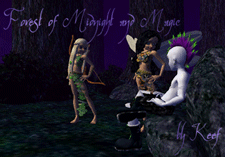 Forest of Midnight and Magic
