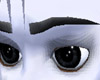 Charcoal Gray Eyebrows