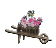 flowercart
