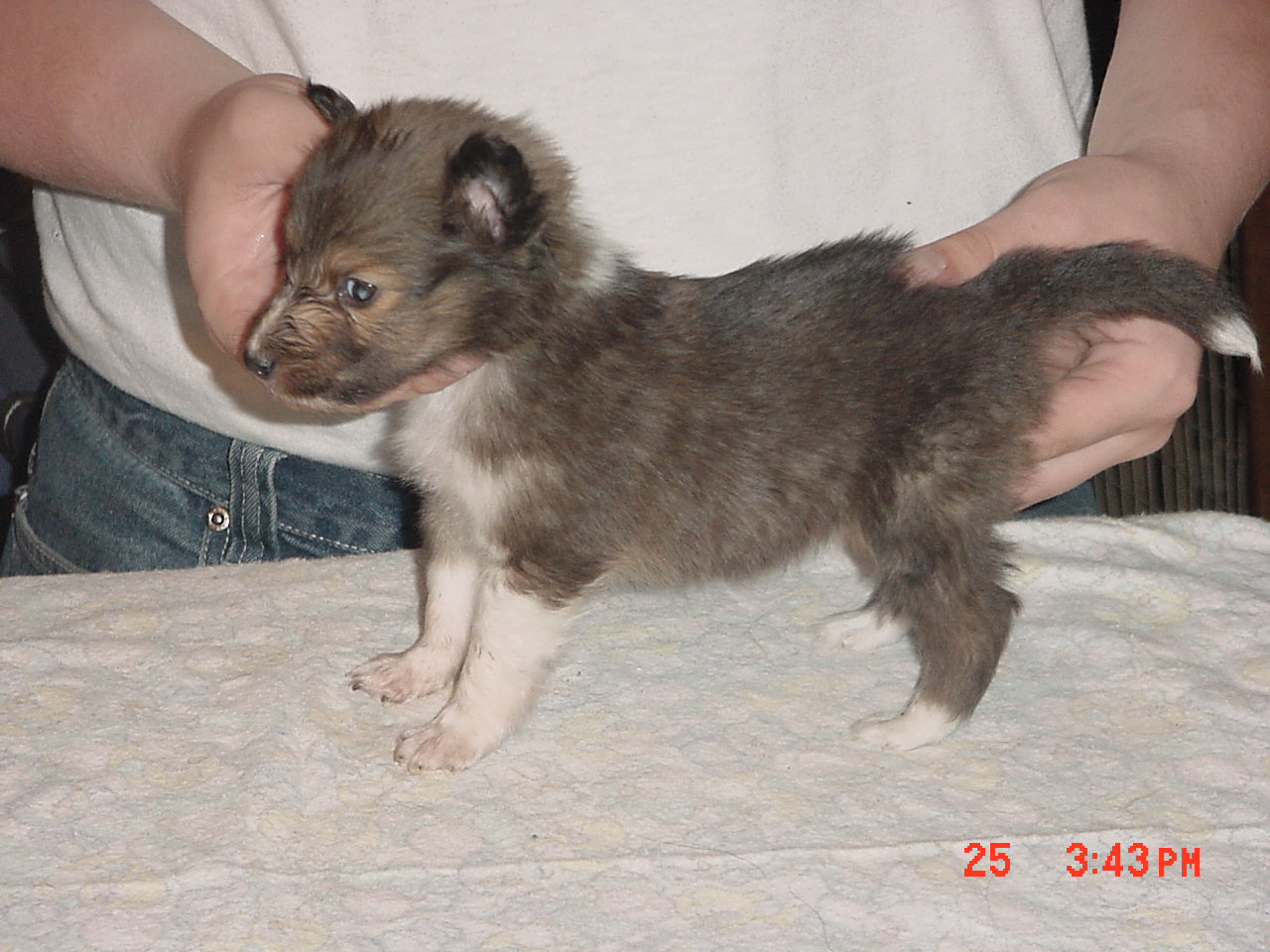 boy3