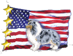 flag