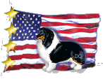 triflag