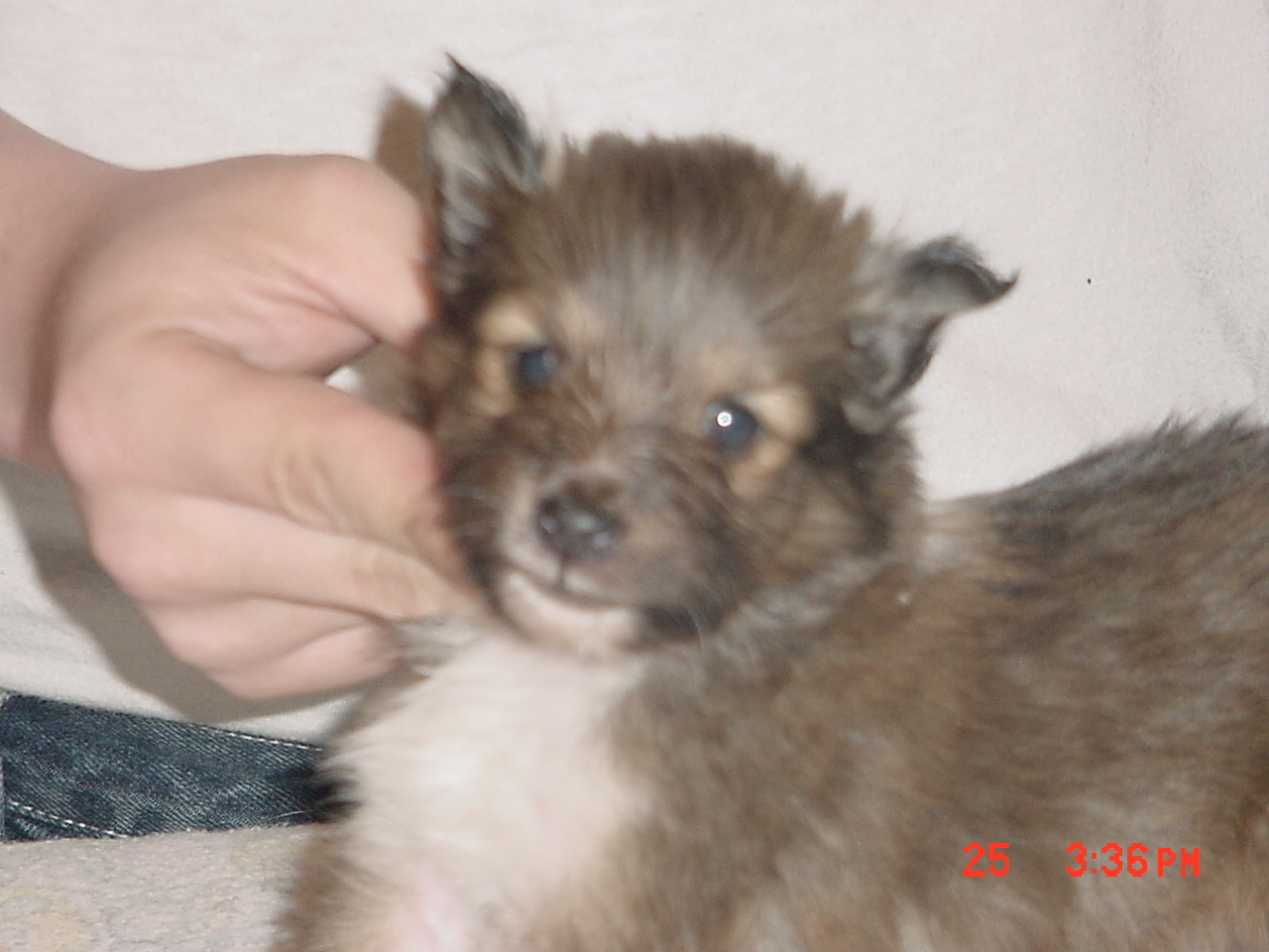 girl1