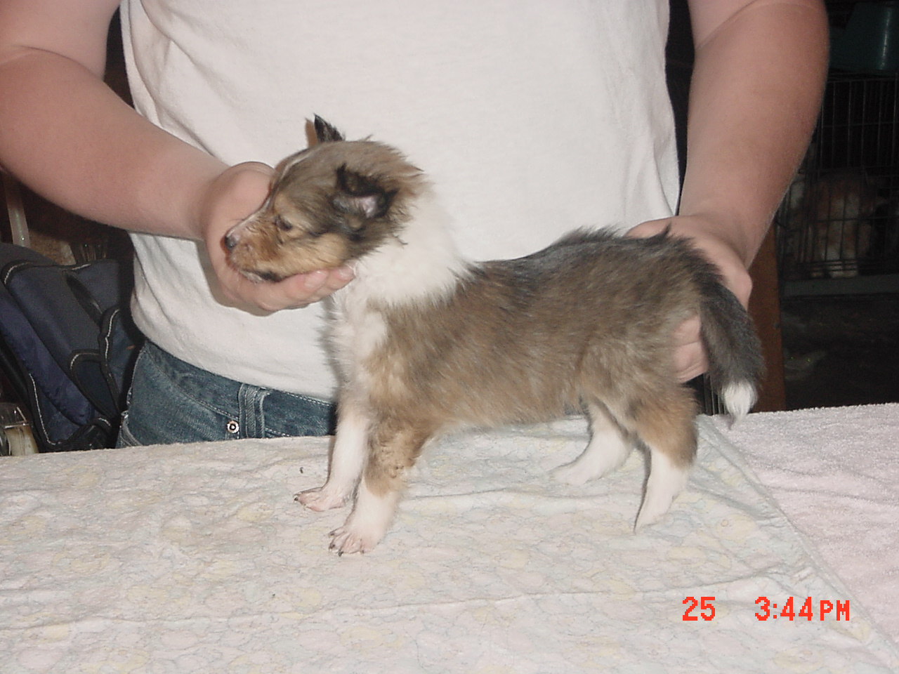 girl3