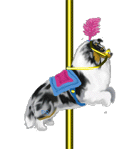 merrigo