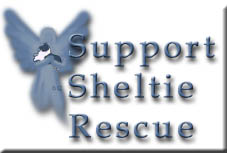 rescue