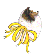 yellow ribbon