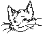 lynx friendly