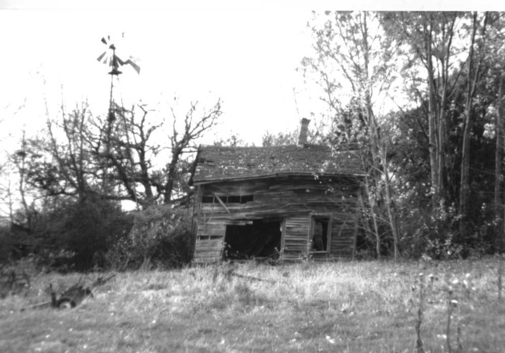 dmcrae2.jpg (64363 bytes)