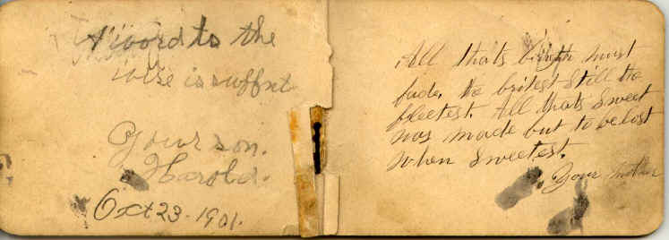 pg2_3.jpg (82780 bytes)