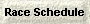 Race Schedule