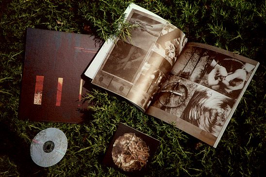 Ember_Glance1.jpg (68060 Byte)