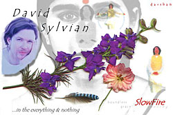 Slowfire_Link_01.jpg (17049 Byte)