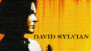 Sylvian_Link.jpg (24009 Byte)