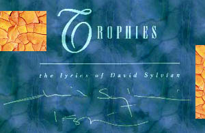 Trophies_Link.jpg (16571 Byte)