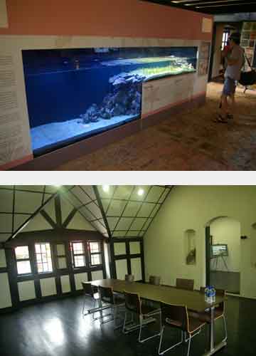 1 Pulau Ubin